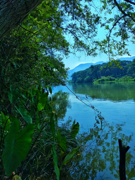 乡村河畔美景