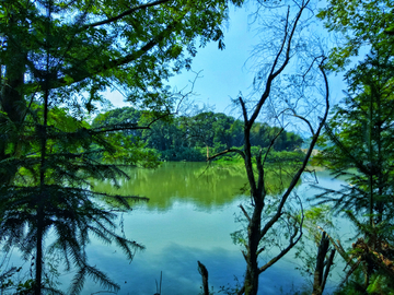 乡村河畔美景