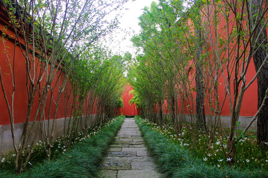 庭院红色墙