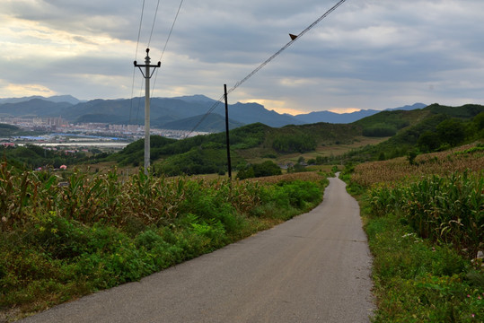 乡村道路