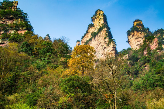 张家界武陵源天子山