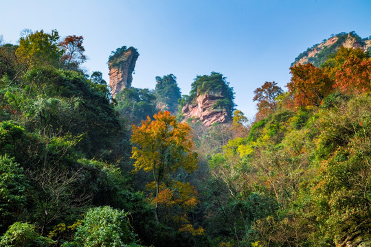 张家界武陵源天子山