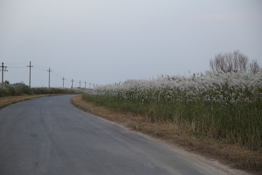 东营黄河口生态旅游区