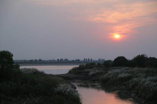 东营黄河口生态旅游区