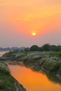 东营黄河口生态旅游区