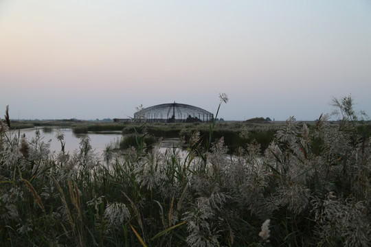 东营黄河口生态旅游区