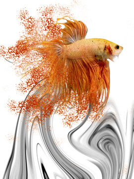 彩墨藝術(shù)斗魚裝飾畫