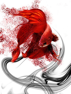 彩墨藝術(shù)斗魚裝飾畫