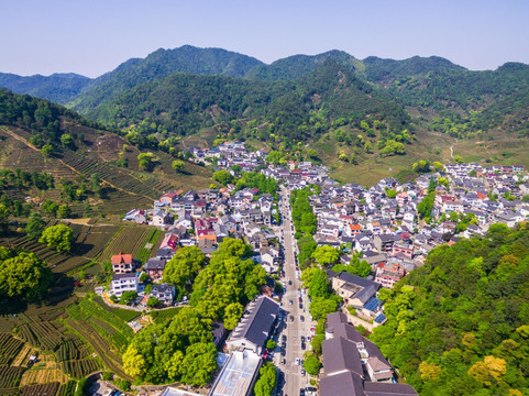 杭州西湖龙井茶园