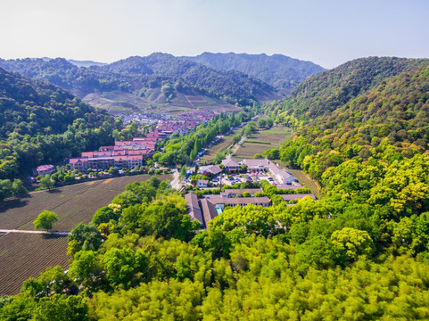 杭州西湖龙井茶园