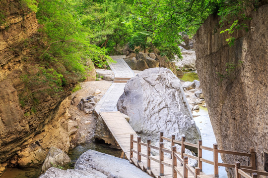 山涧小路溪流