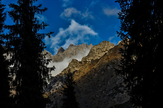 天山森林