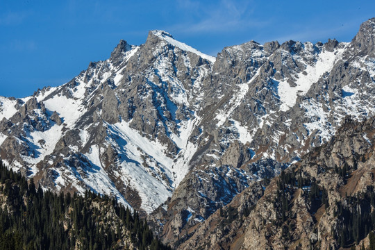 天山森林