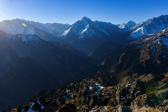 天山森林