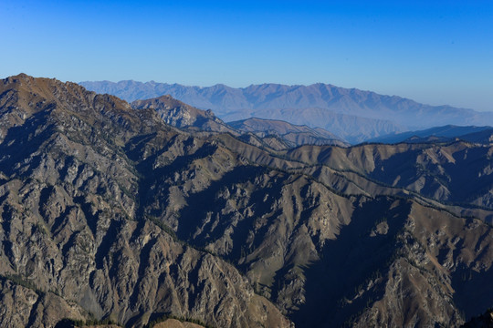 天山森林