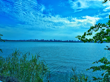 苏州金鸡湖风景