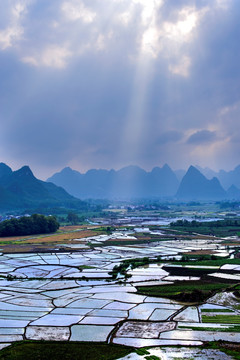 乡村风景