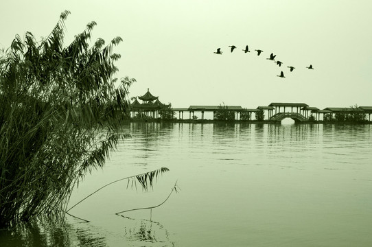 无锡统一嘉园风景