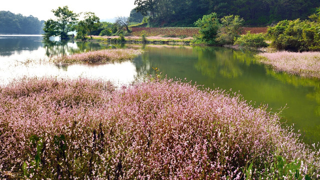 湖边