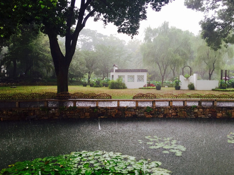 雨中的苏州园林