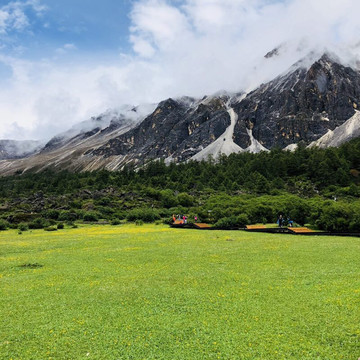 草原风景