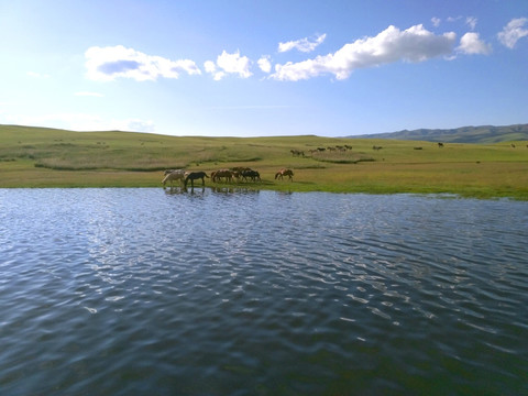 新疆巴音布鲁克草原天鹅湖风光