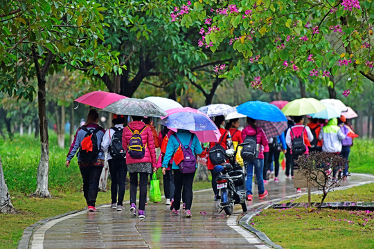 在雨中