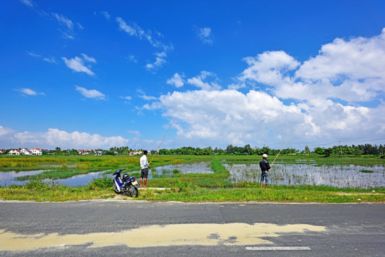 田园风光