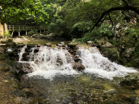 牛背梁国家森林秦岭风光