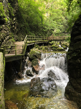 牛背梁国家森林秦岭风光