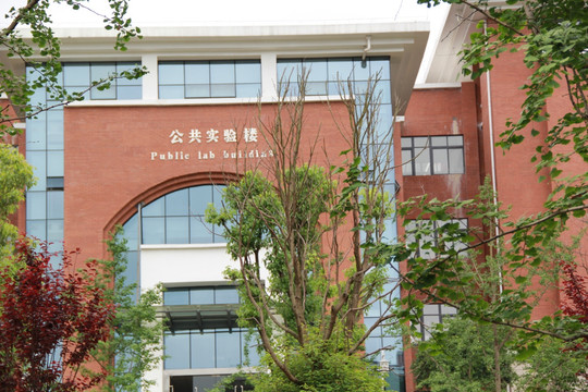 学校