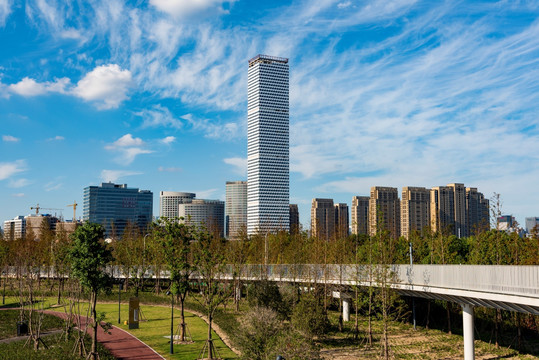 上海城市景观