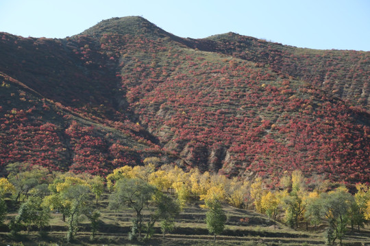 张家口田园风光