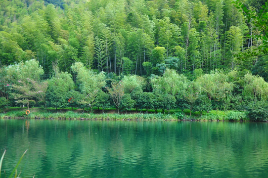 天目山水