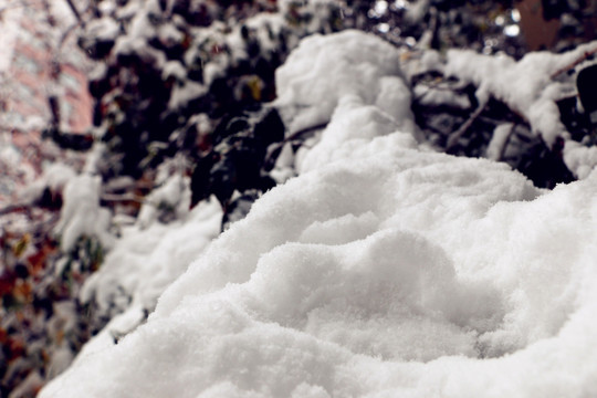 第一场大雪之后的美丽景色