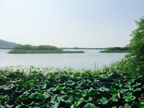 太湖三山岛吴王堤