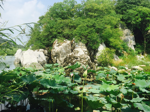 太湖三山岛吴王堤