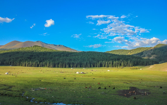 新疆牧场风景