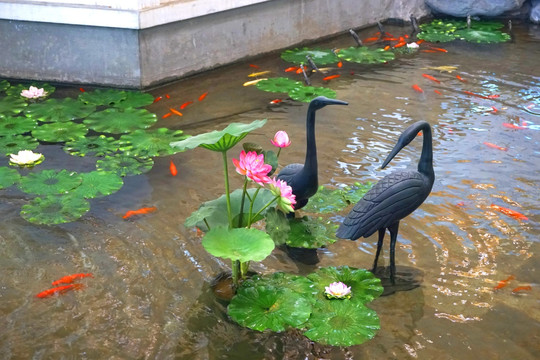 北京首都机场仿皇家园林水景