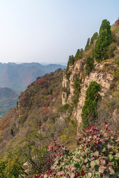 仰天山