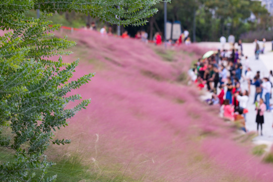 福州牛岗山公园