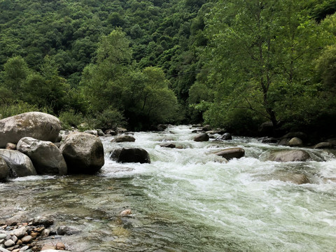 秦岭黄柏塬自然保护区