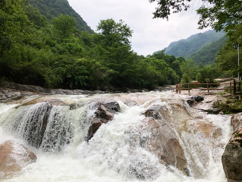 黄柏源森林风景秦岭山水