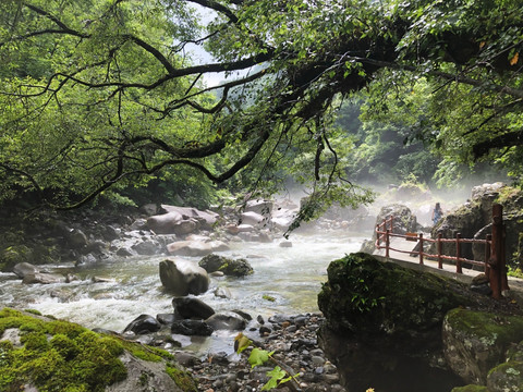 溪流瀑布山水秦岭黄柏源