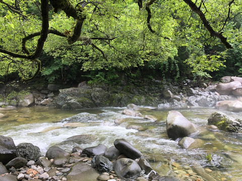 溪流瀑布山水秦岭黄柏源