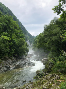 溪流晨雾黄柏塬太白山秦岭