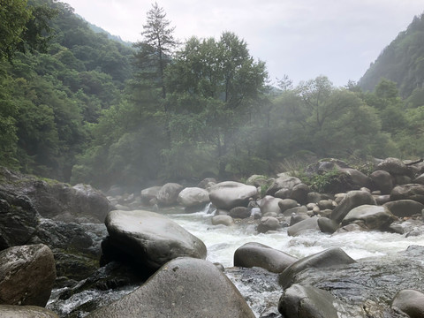 黄柏源森林秦岭山水