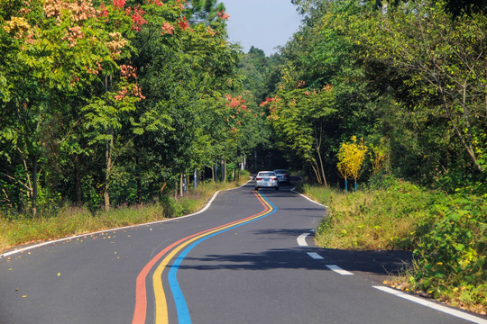 自驾车山路