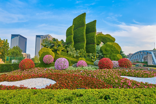 植物雕塑