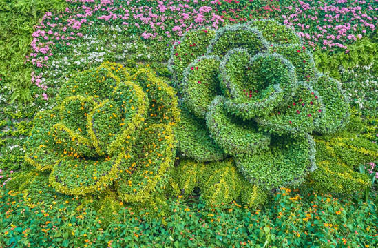 高清立体花卉墙